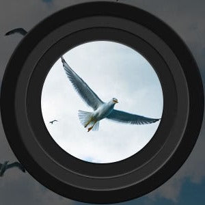 Dayhills | Long Range Night Vision Binoculars