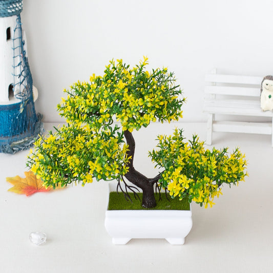 Dayhills | Plant Bonsai