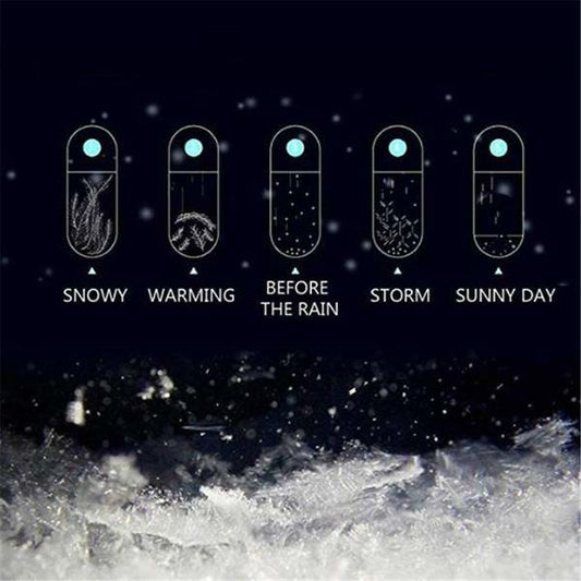 Storm Glass Weather Predicting Forecast Bottle Crystal Desktop Barometer with Wooden Base