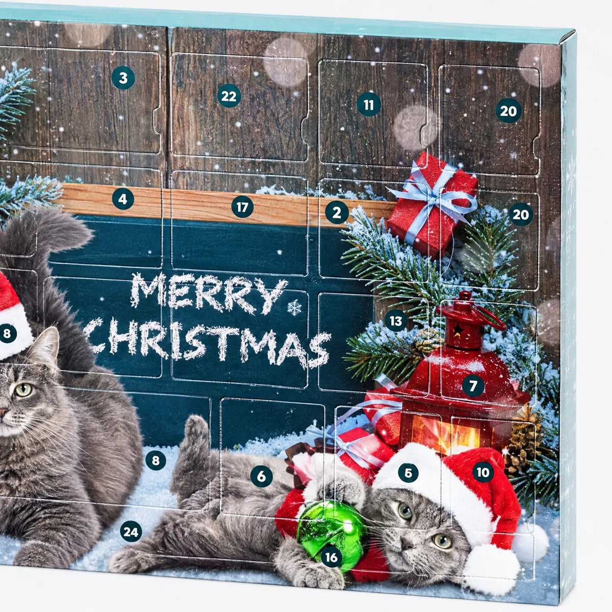 Cat Advent Calendar
