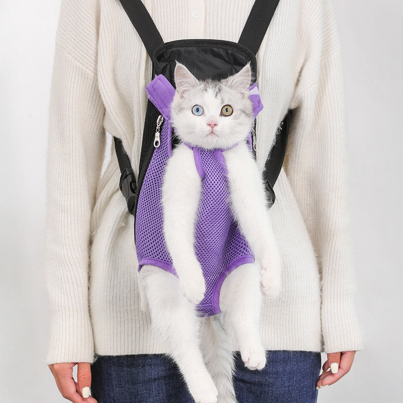 Dayhills | Breathable Mesh Pet Journey Carrier Backpack