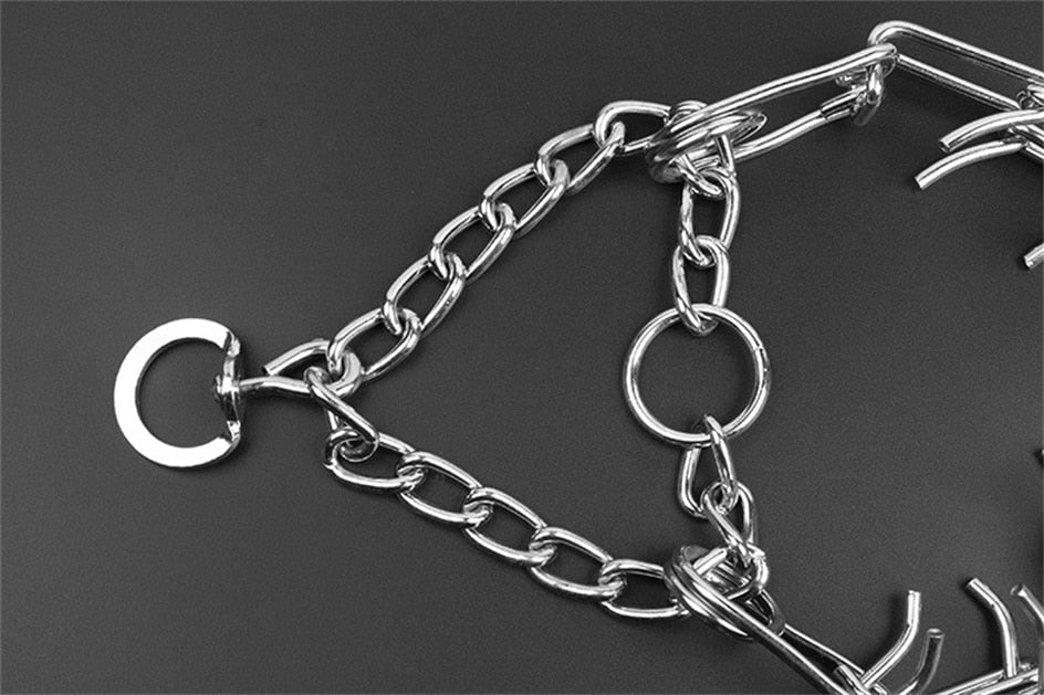 Dayhills | Dog Pincher Collar - Stylish B