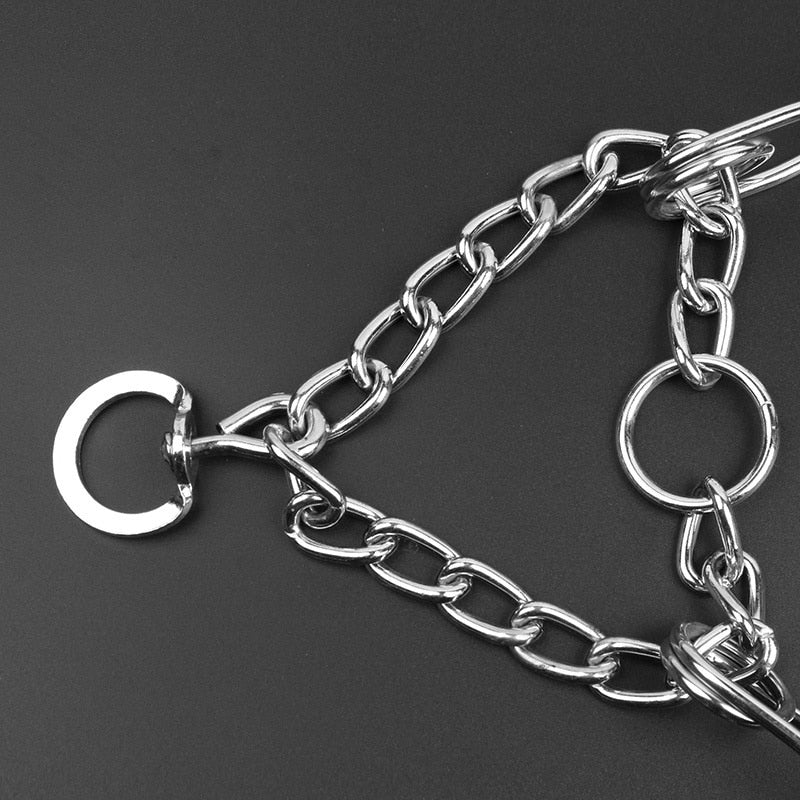 Dayhills | Dog Pincher Collar - Stylish B