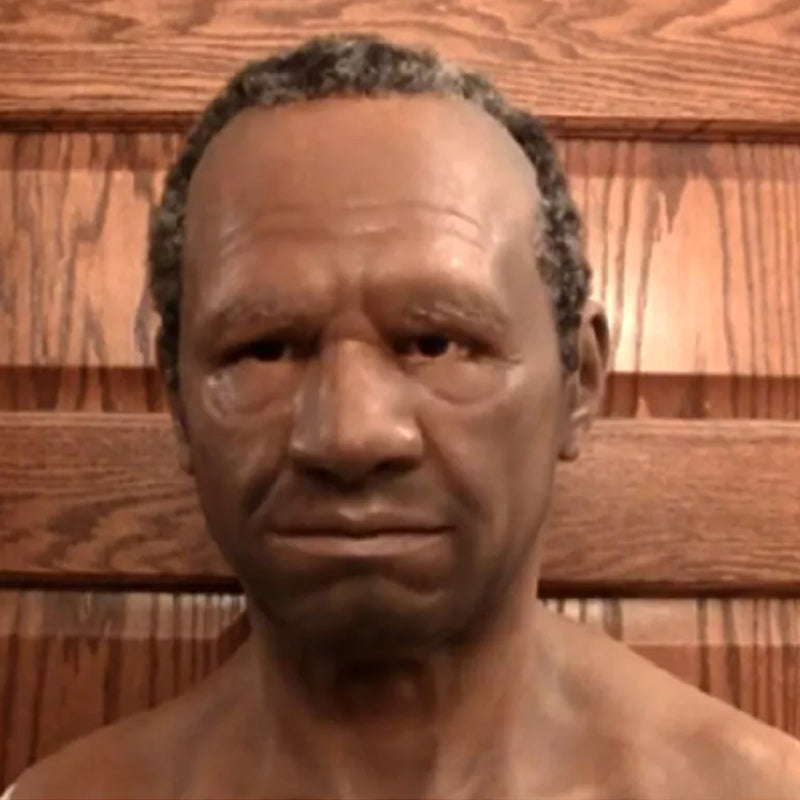 Dayhills | Halloween Simulation Latex Mask