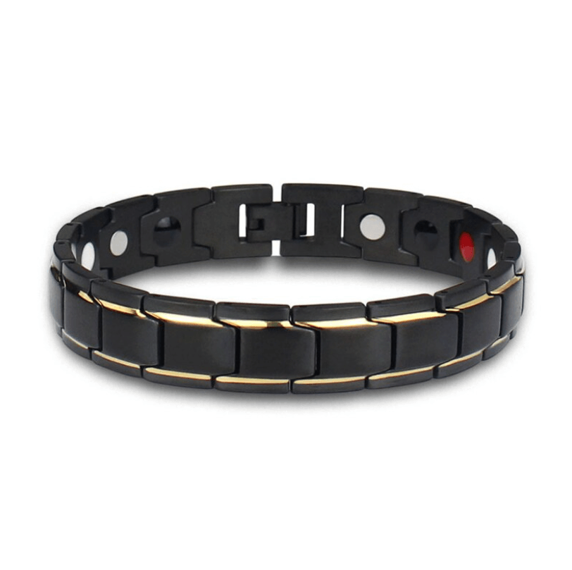Dayhills | Magnetic Health Bracelet | Stainless Steel with Energy Magnets