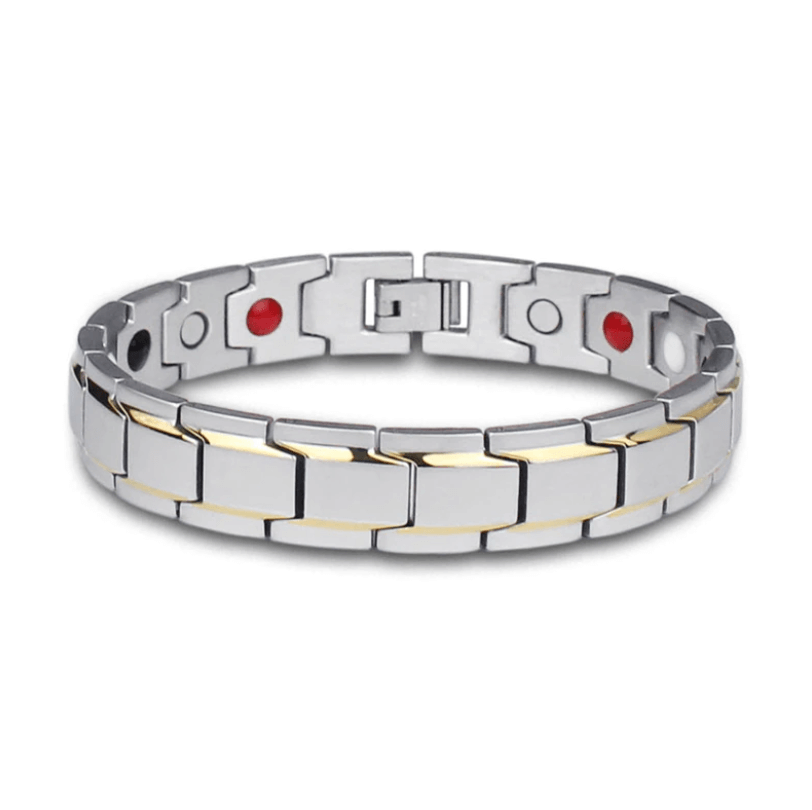Dayhills | Magnetic Health Bracelet | Stainless Steel with Energy Magnets