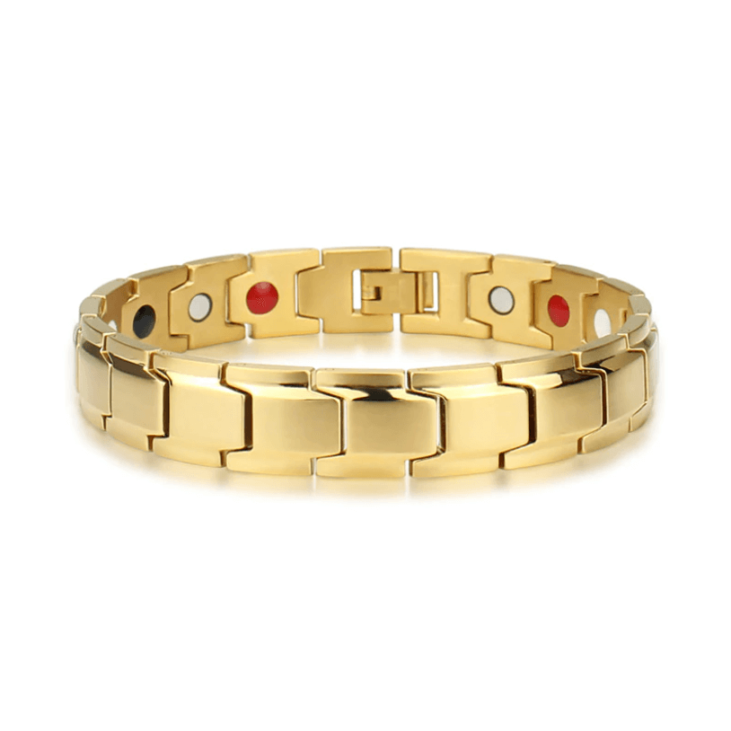 Dayhills | Magnetic Health Bracelet | Stainless Steel with Energy Magnets