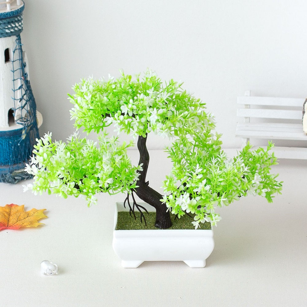 Dayhills | Plant Bonsai