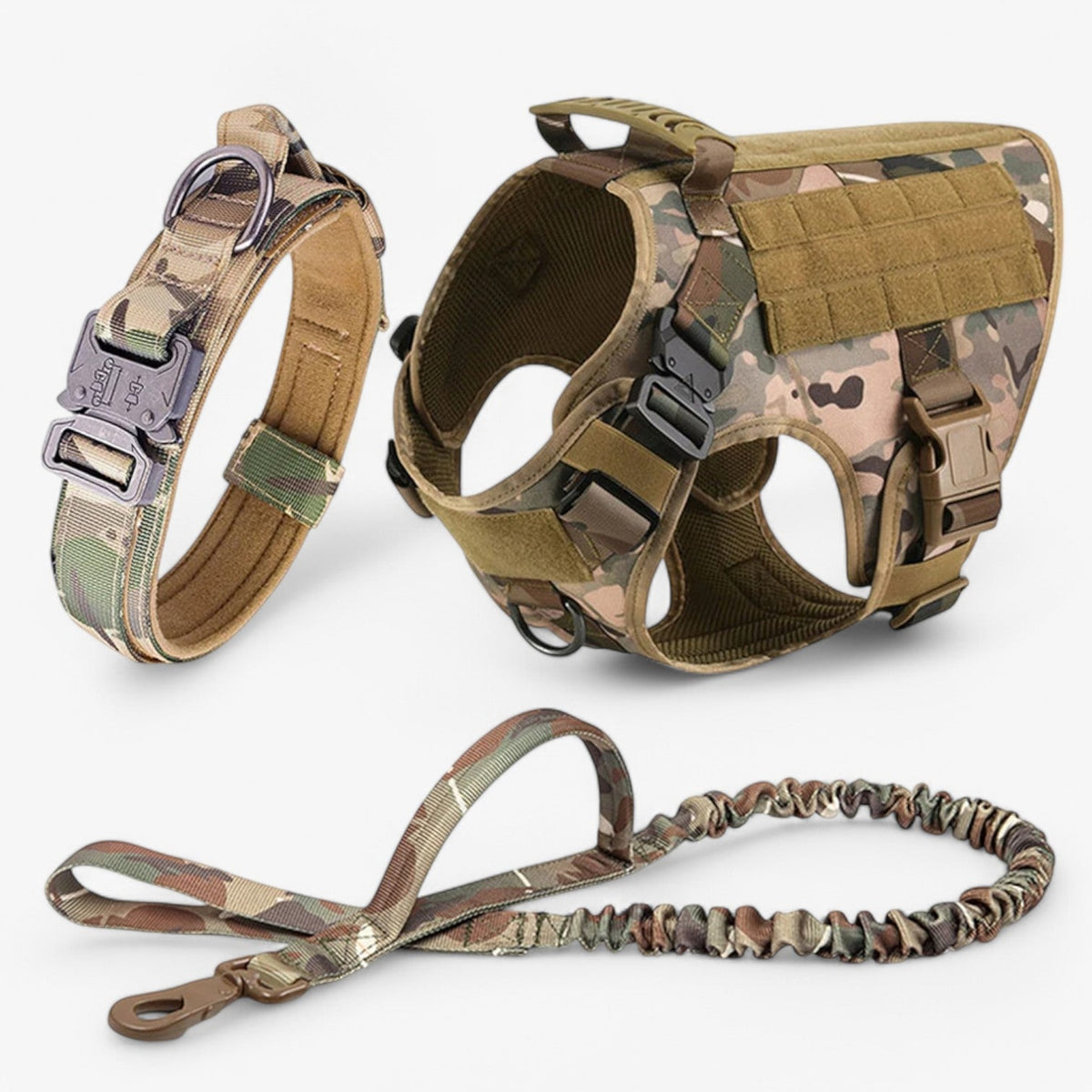 Dog Leash – Comfort and Safety for Training