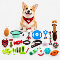 Dog Toy Advent Calendar Pawtique