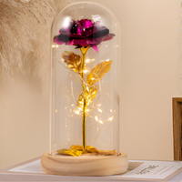 Eternal Rose with LED Lights in Glass Dome