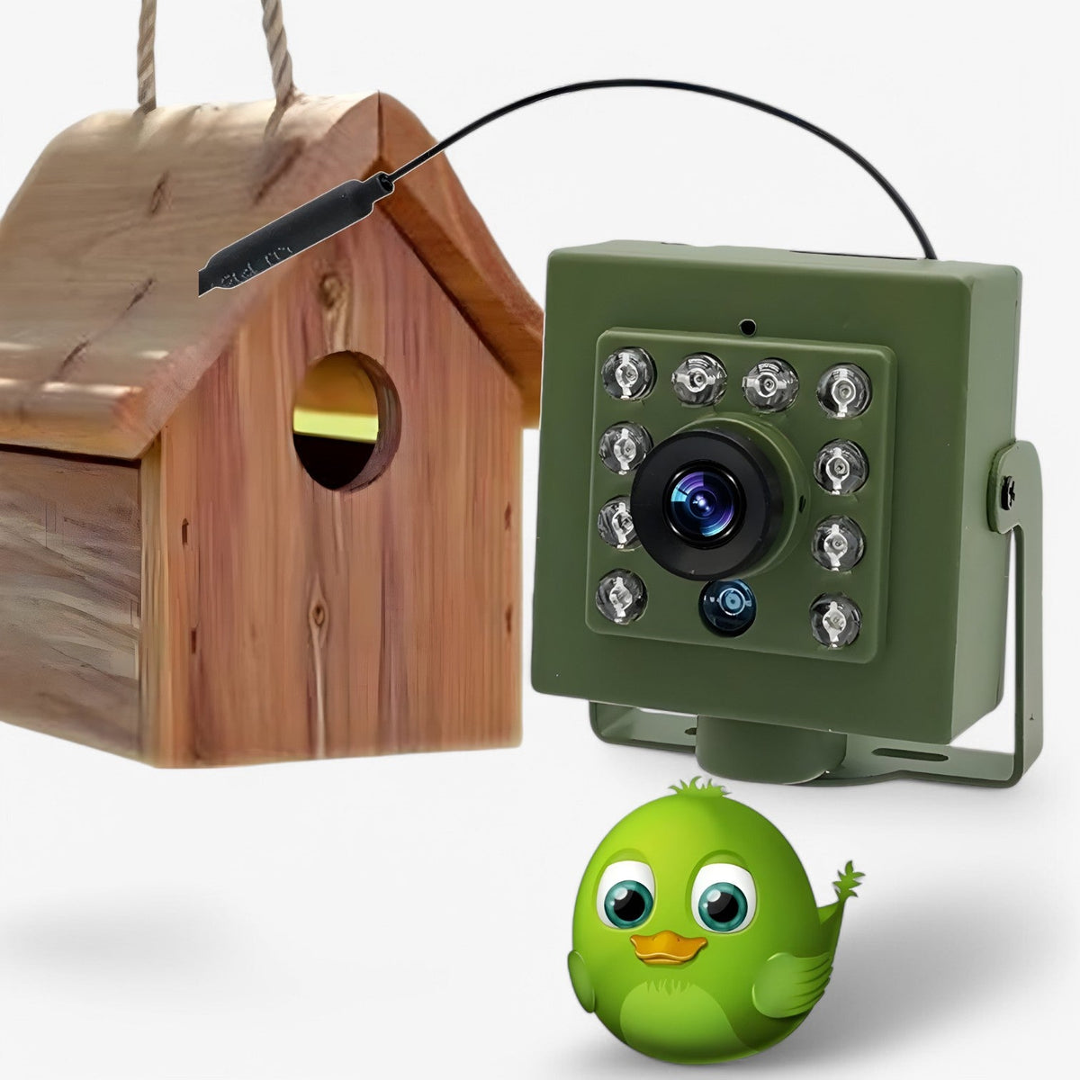 NestCam HD WiFi Bird Nest Camera – 1080p Waterproof Outdoor Wildlife Camera with Night Vision