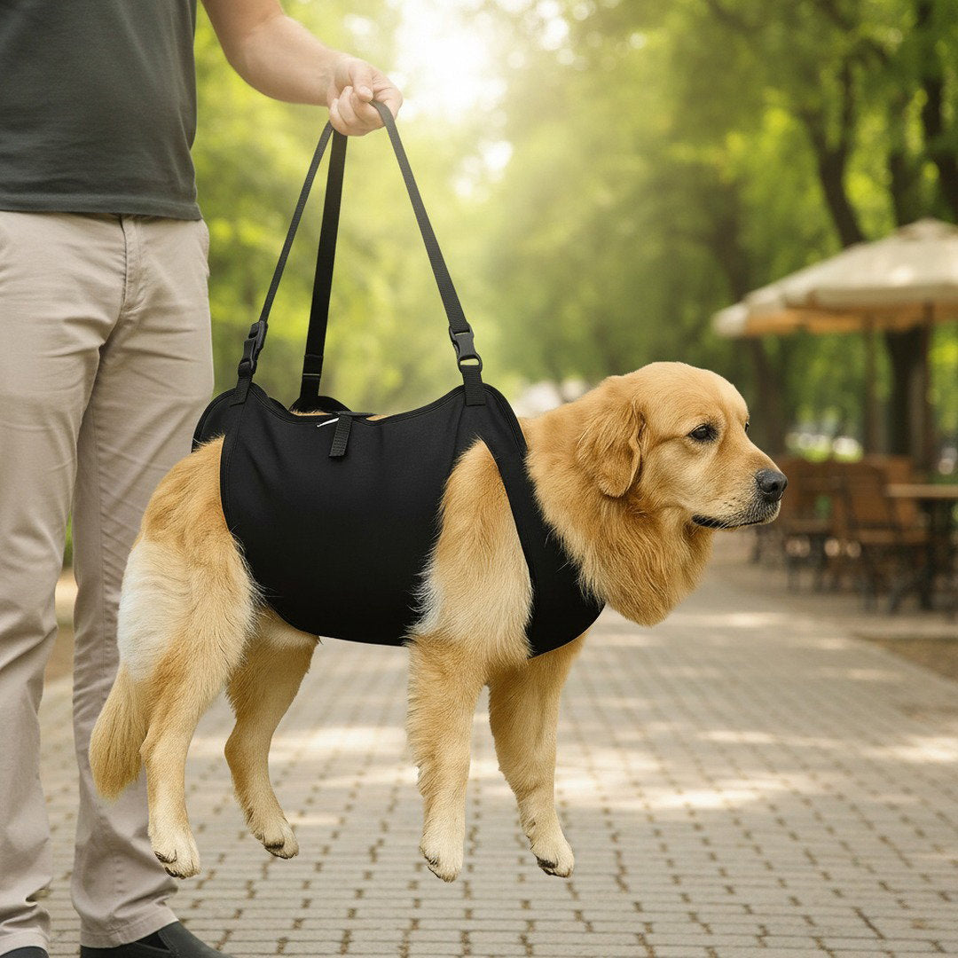 Supportive Dog Harness with Lift Strap for Stairs and Walks