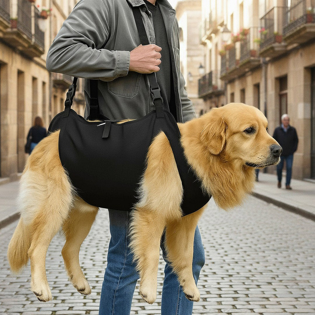 Supportive Dog Harness with Lift Strap for Stairs and Walks